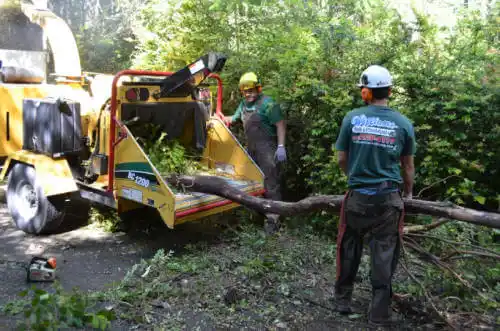 tree services Sac City